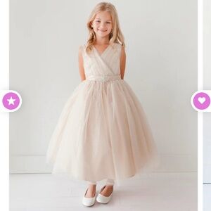 Tip Top Flower girl Dress